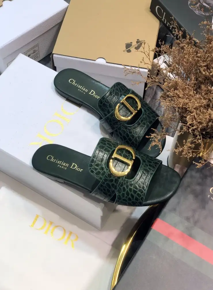 hype Christian Dior Slippers