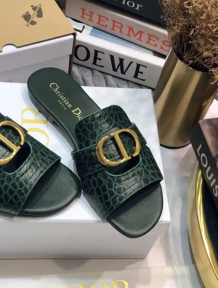 hype Christian Dior Slippers