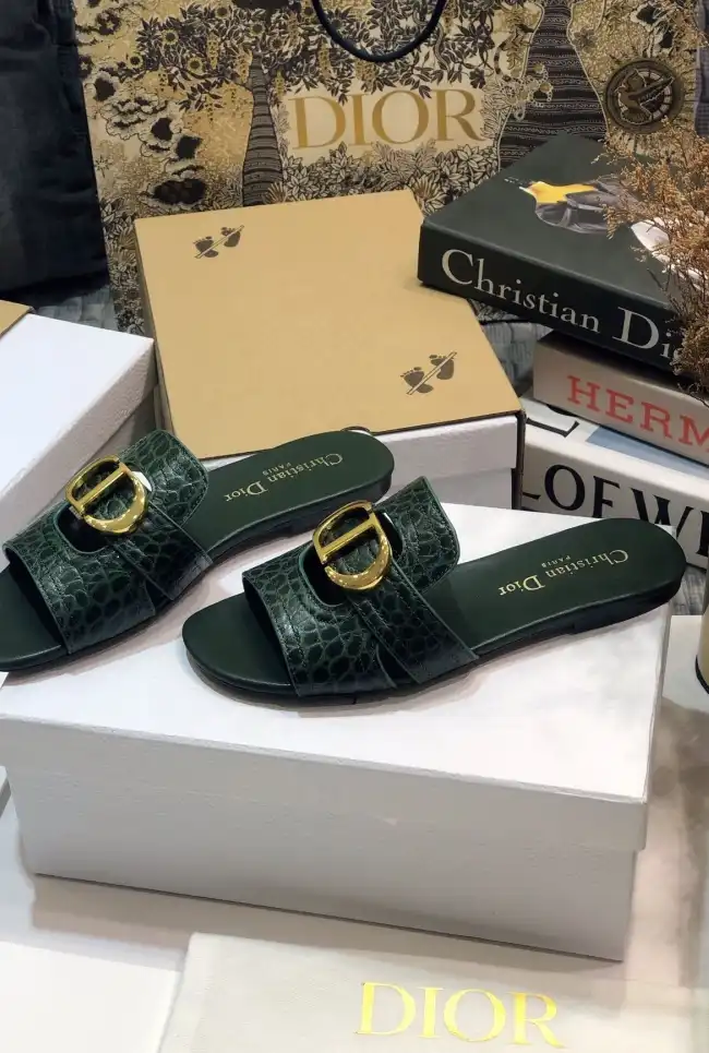 hype Christian Dior Slippers