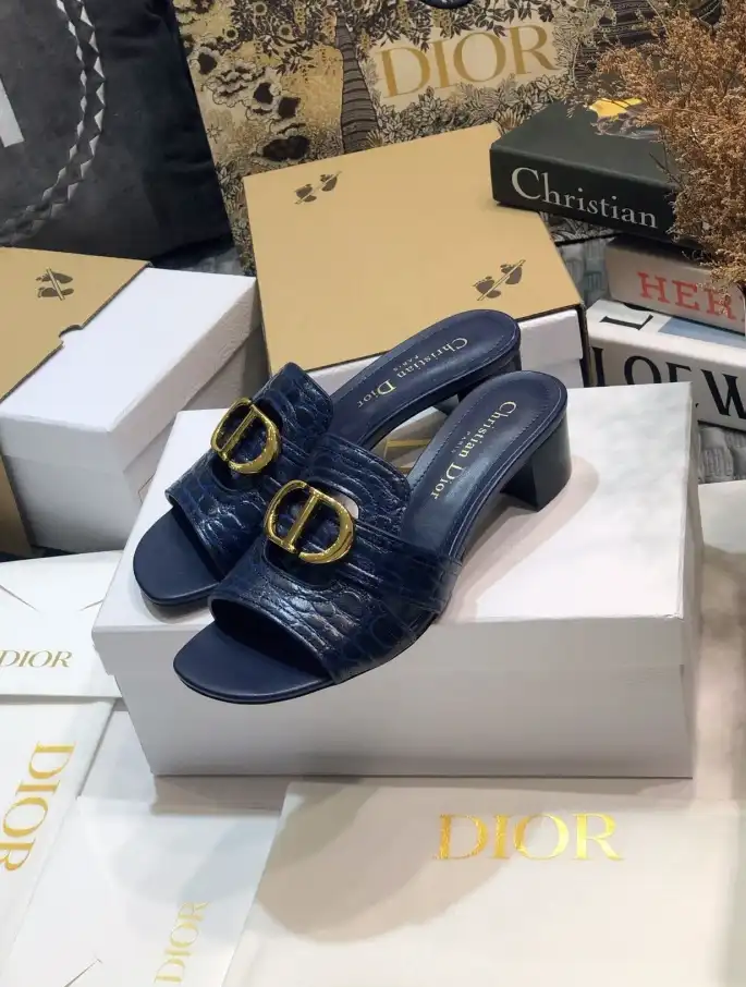 hype Christian Dior Slippers