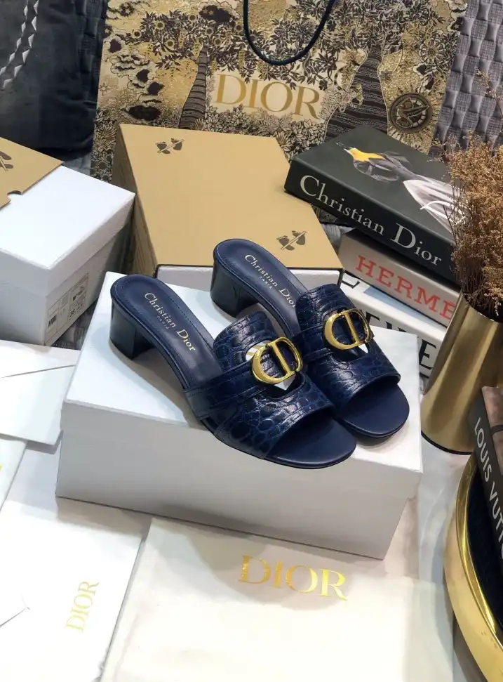 hype Christian Dior Slippers