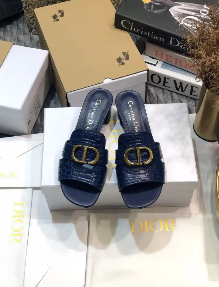 hype Christian Dior Slippers