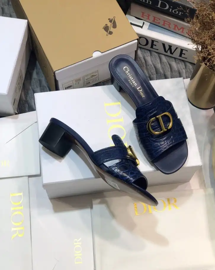 hype Christian Dior Slippers