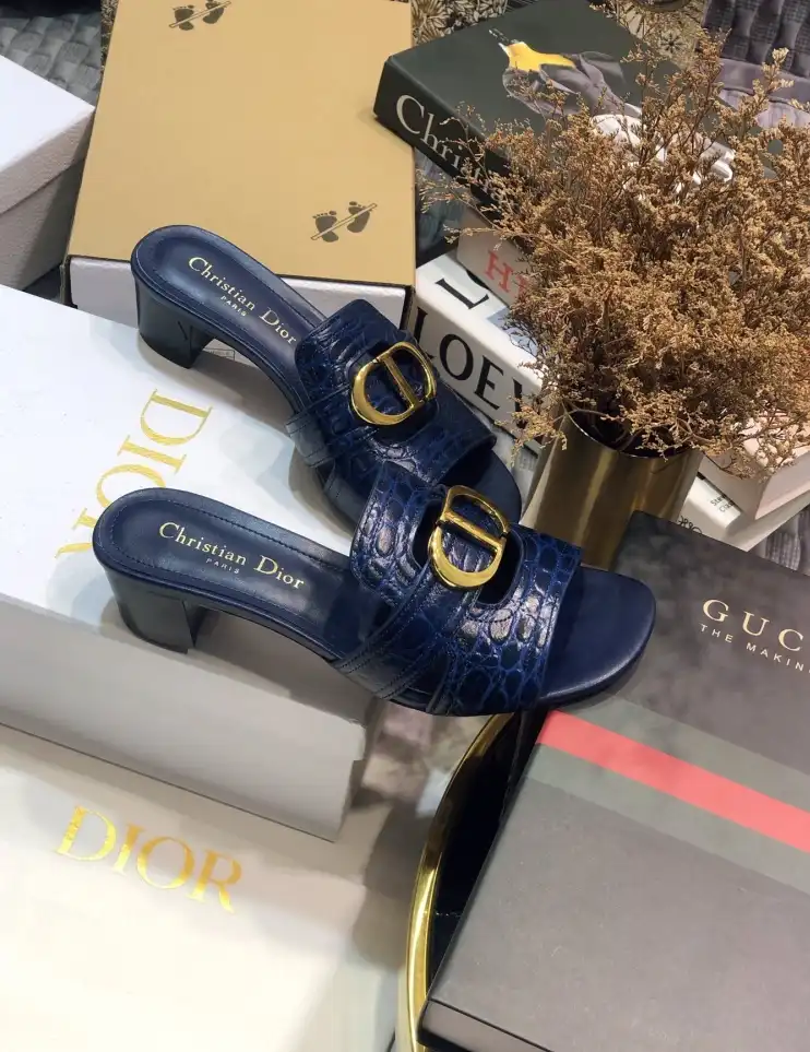 hype Christian Dior Slippers