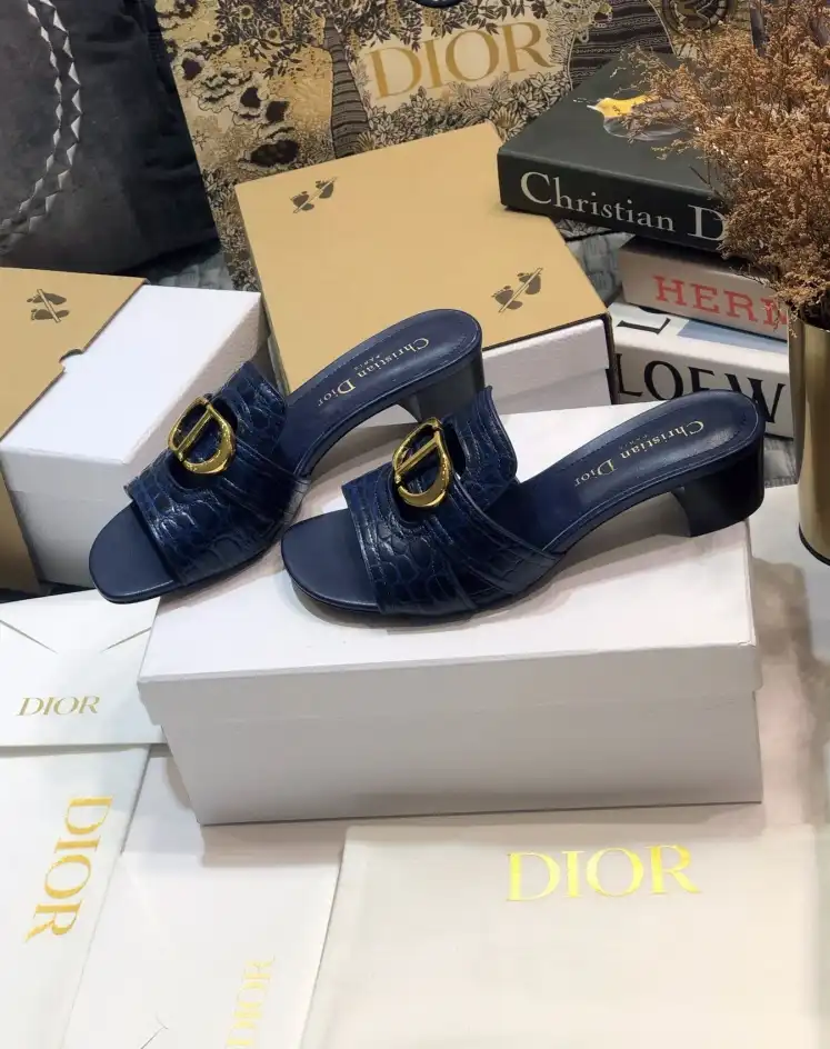 hype Christian Dior Slippers