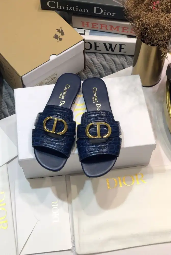 hype Christian Dior Slippers