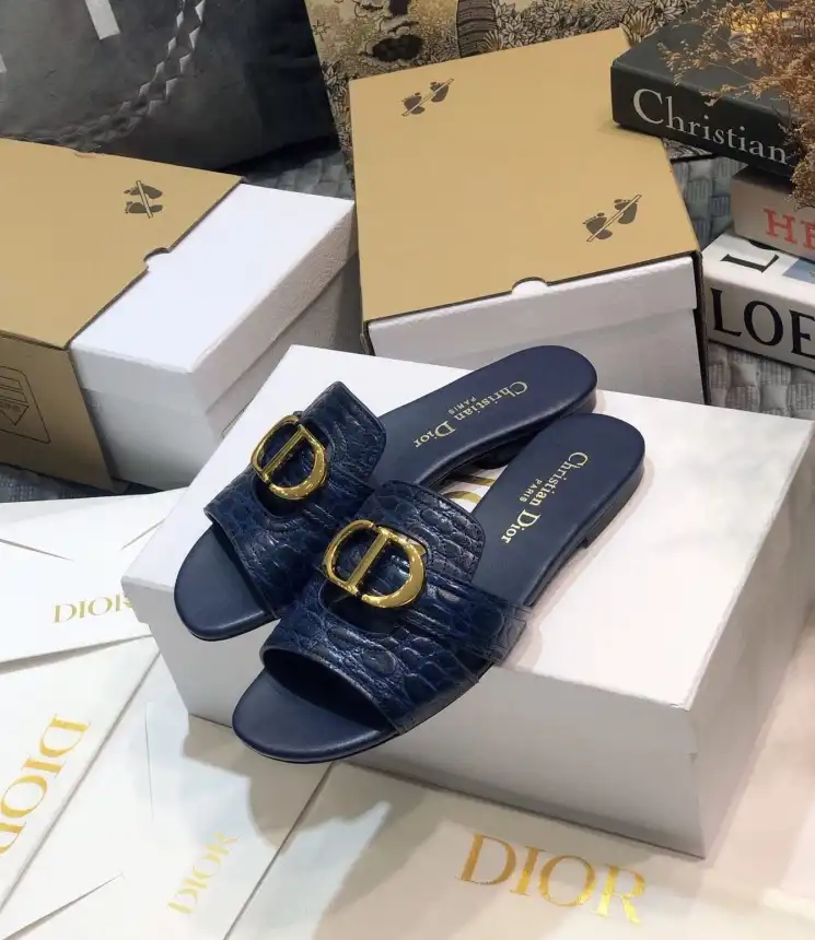 hype Christian Dior Slippers