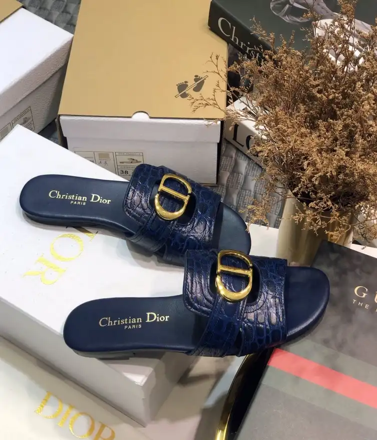 hype Christian Dior Slippers