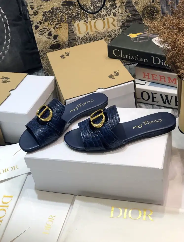 hype Christian Dior Slippers