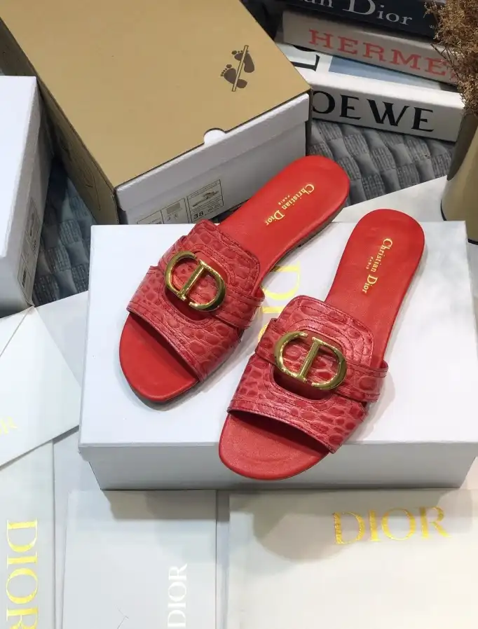 hype Christian Dior Slippers