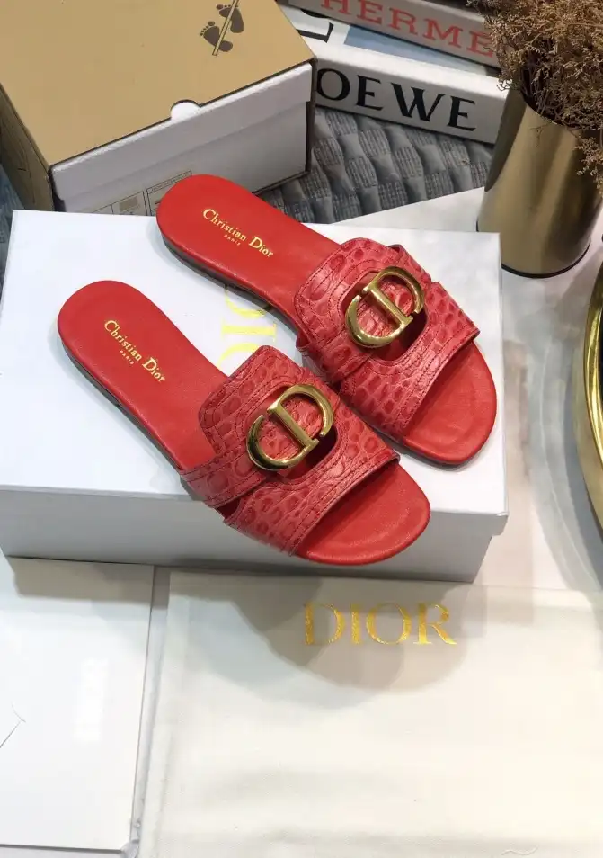 hype Christian Dior Slippers