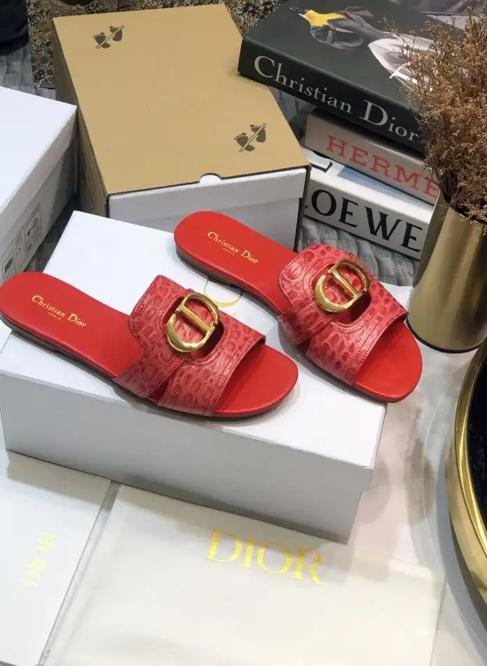 hype Christian Dior Slippers