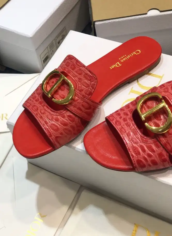 hype Christian Dior Slippers