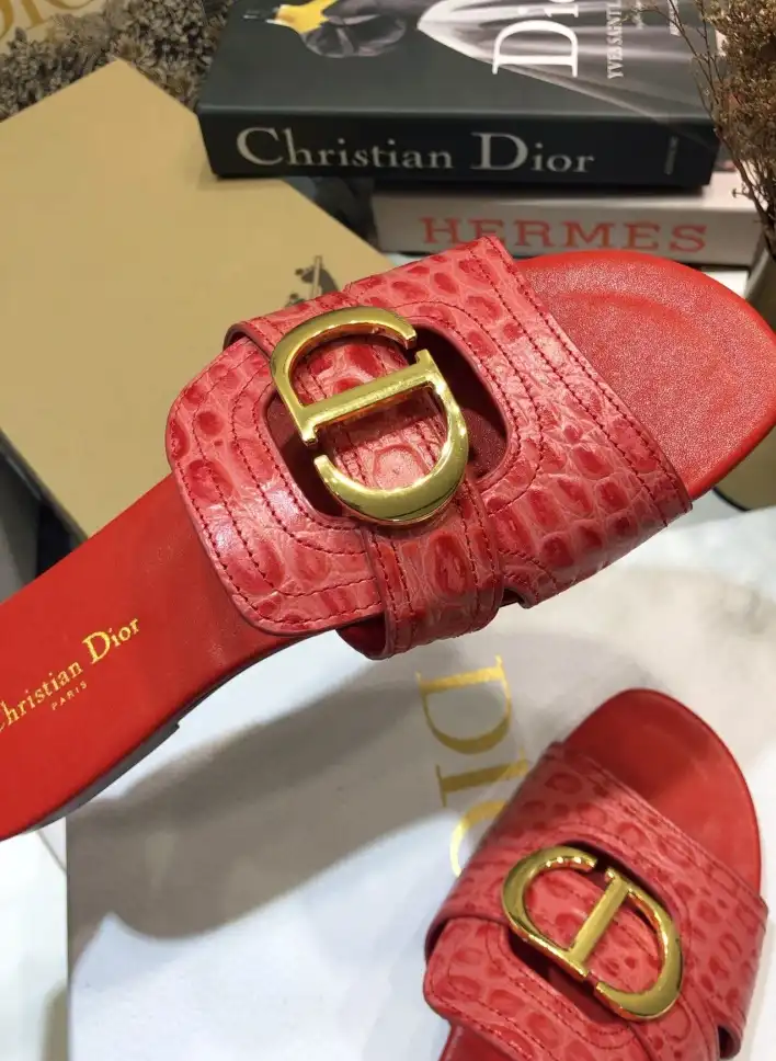 hype Christian Dior Slippers