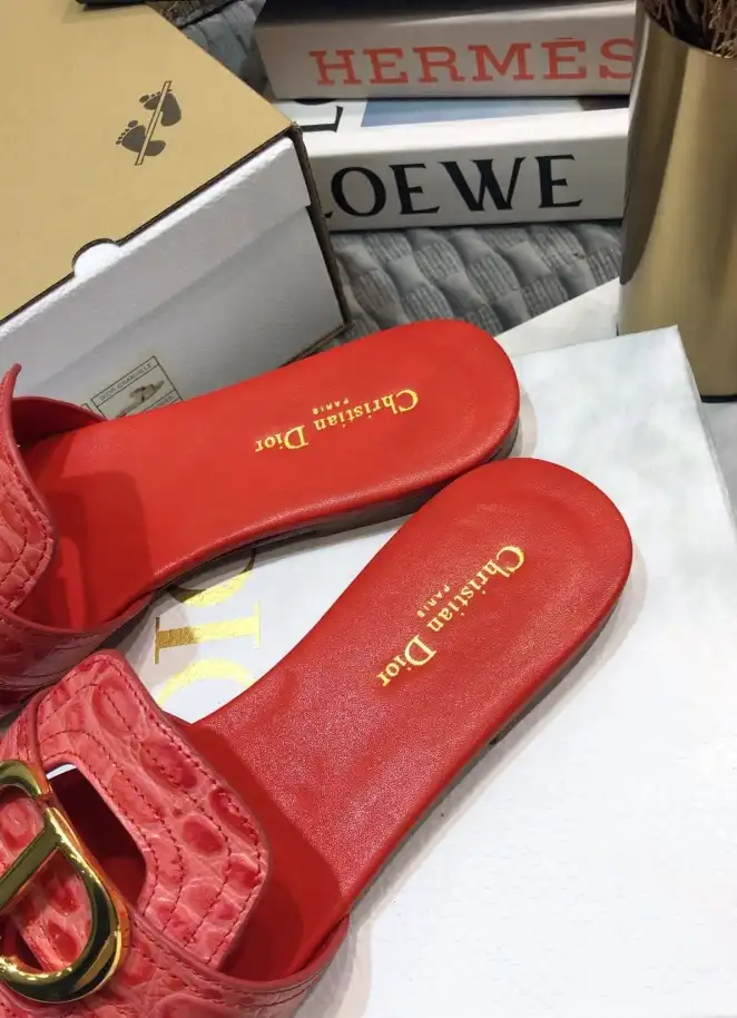 hype Christian Dior Slippers