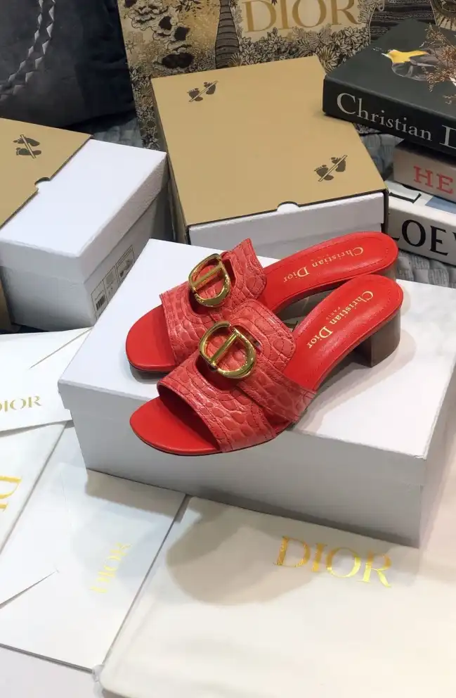 hype Christian Dior Slippers