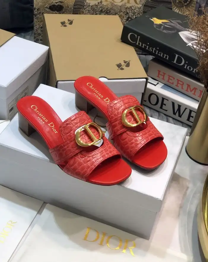 hype Christian Dior Slippers