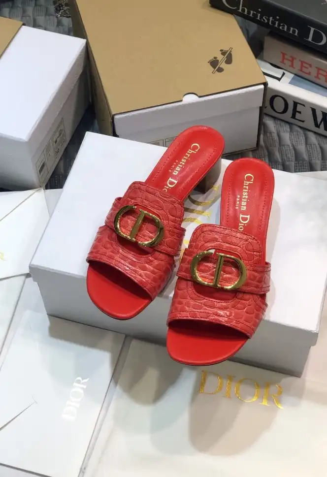 hype Christian Dior Slippers