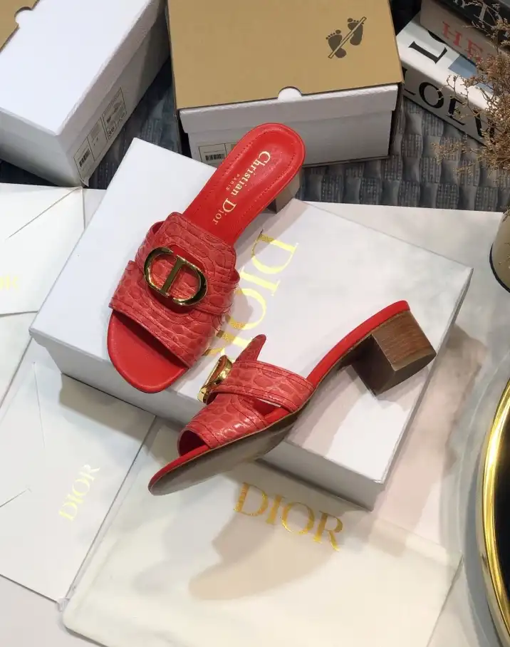 hype Christian Dior Slippers