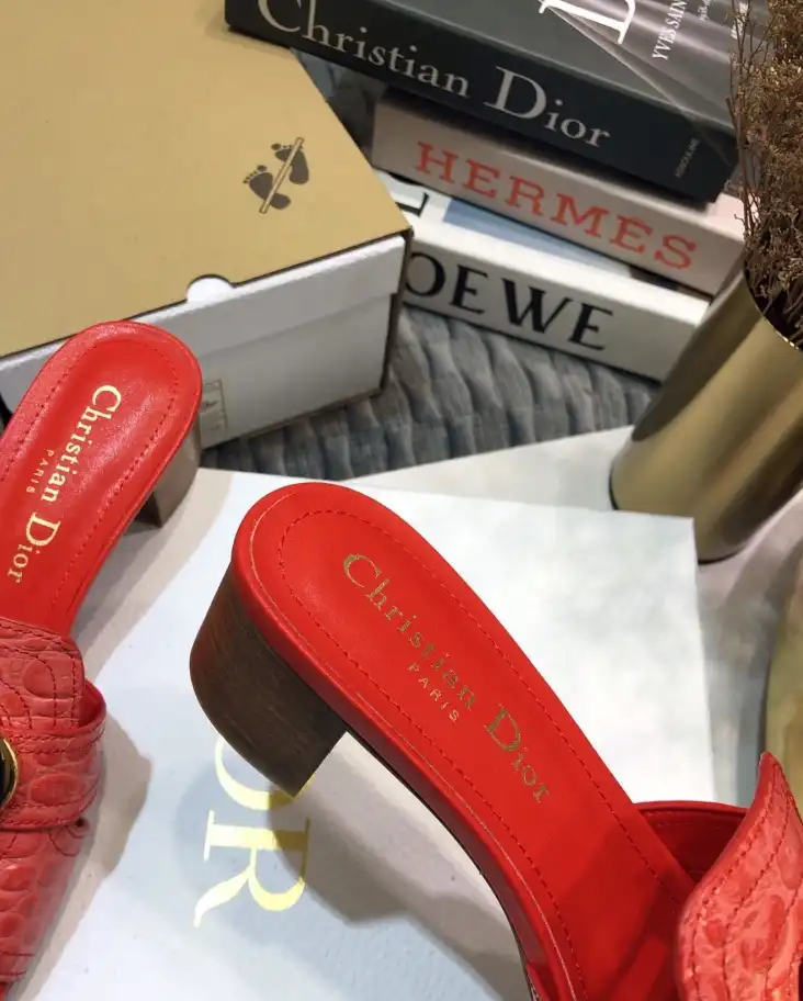 hype Christian Dior Slippers