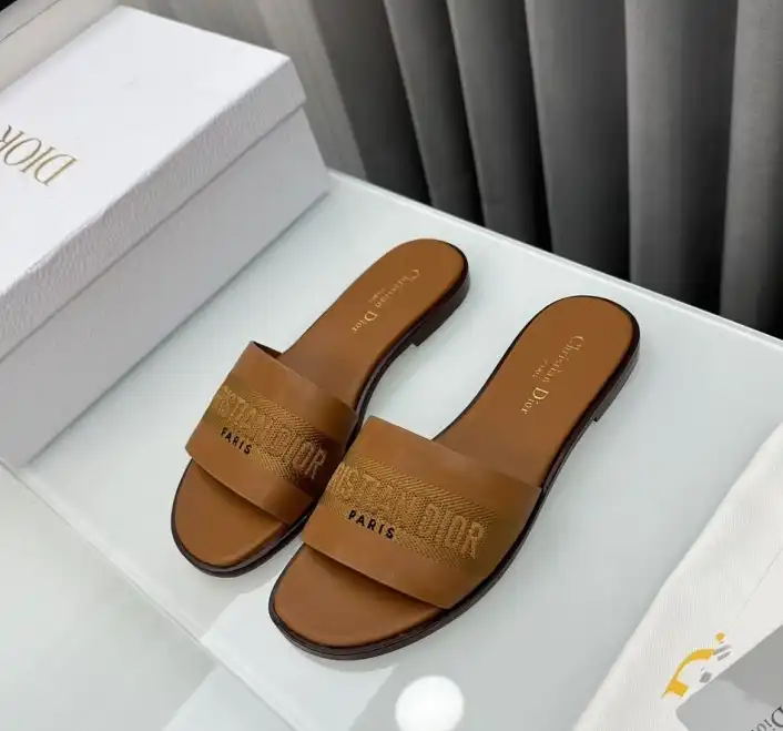 hype Christian Dior Slippers