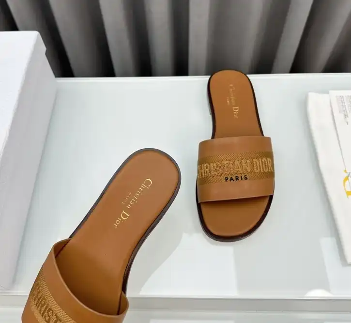 hype Christian Dior Slippers