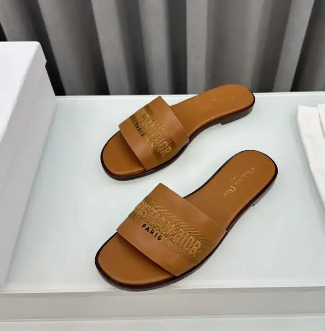 hype Christian Dior Slippers