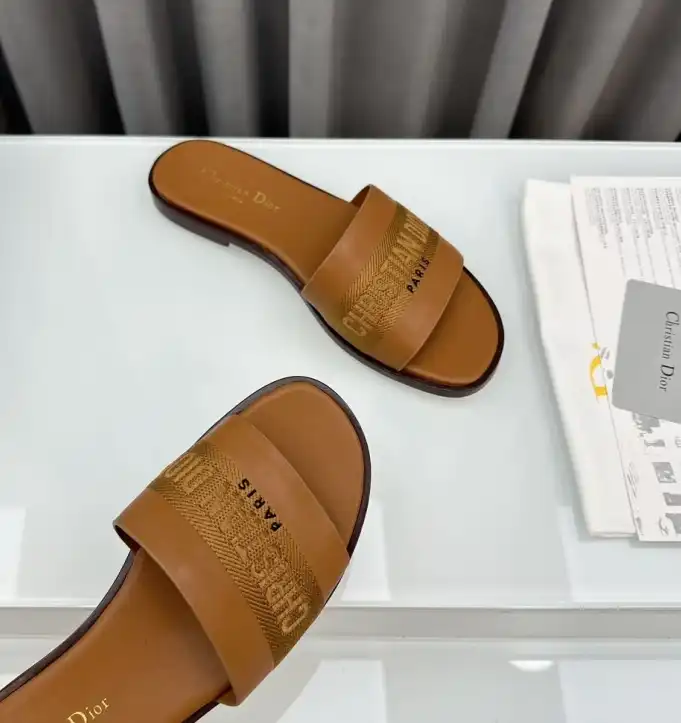 hype Christian Dior Slippers