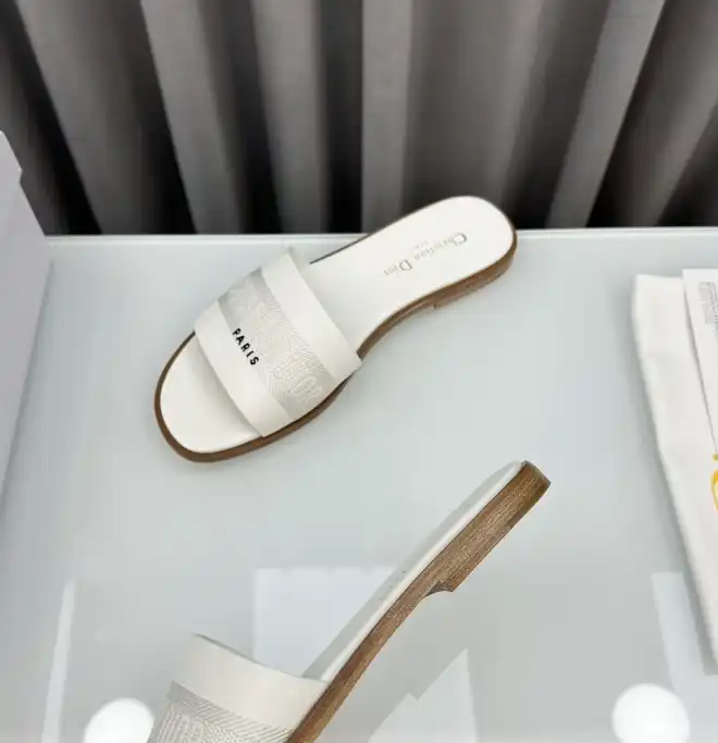 hype Christian Dior Slippers