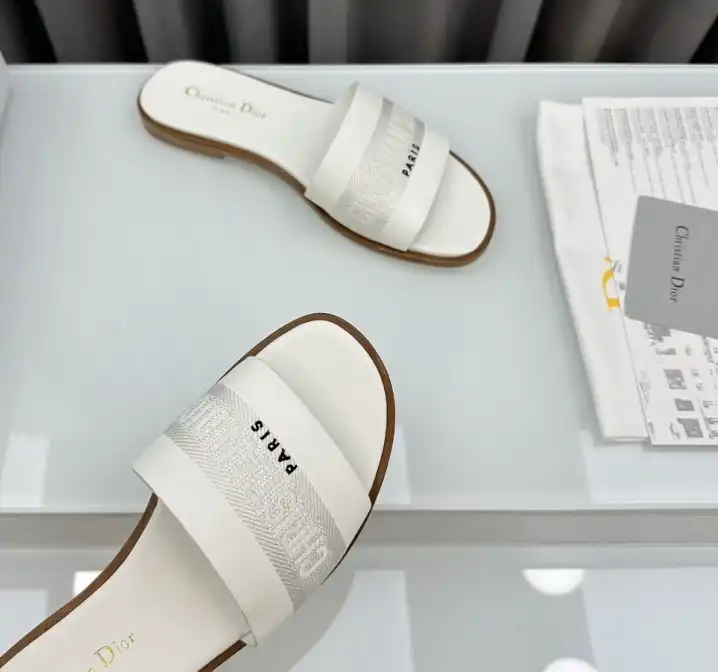 hype Christian Dior Slippers