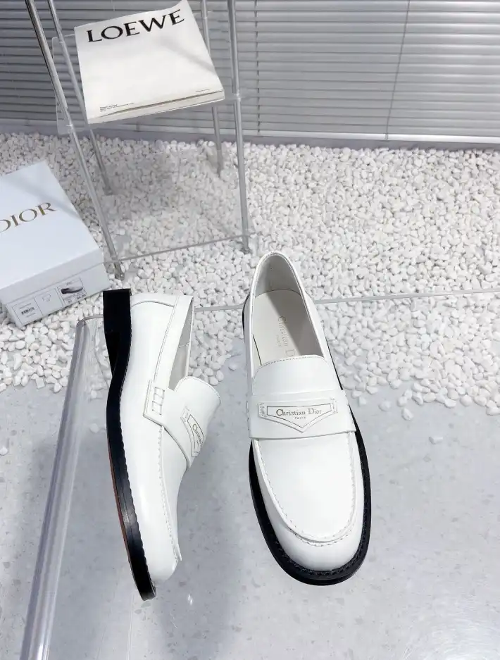 hype Christian Dior Casual Shoes