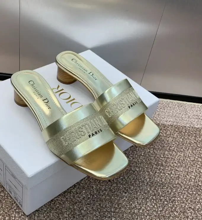 hype Christian Dior Slippers