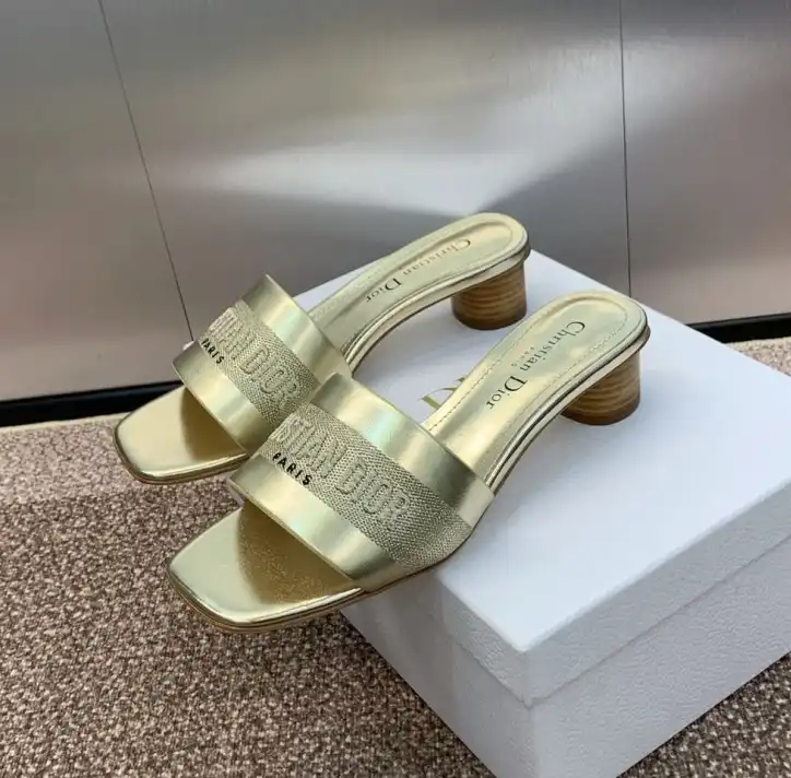 hype Christian Dior Slippers