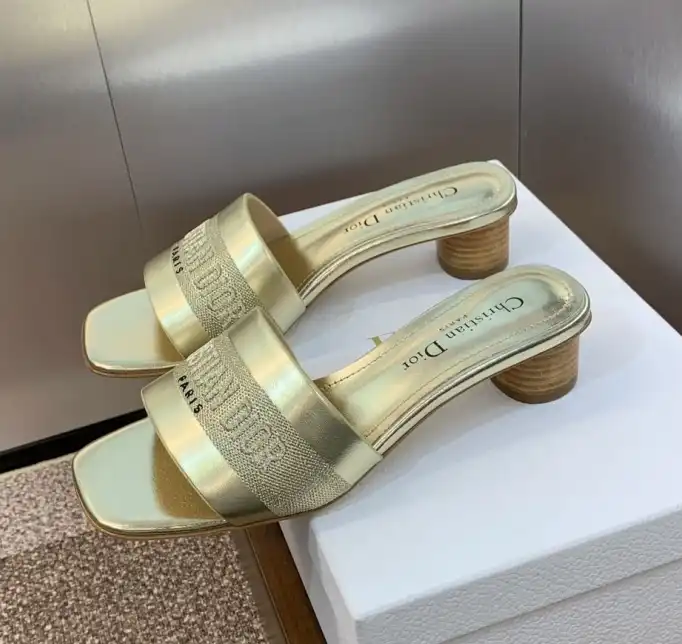 hype Christian Dior Slippers