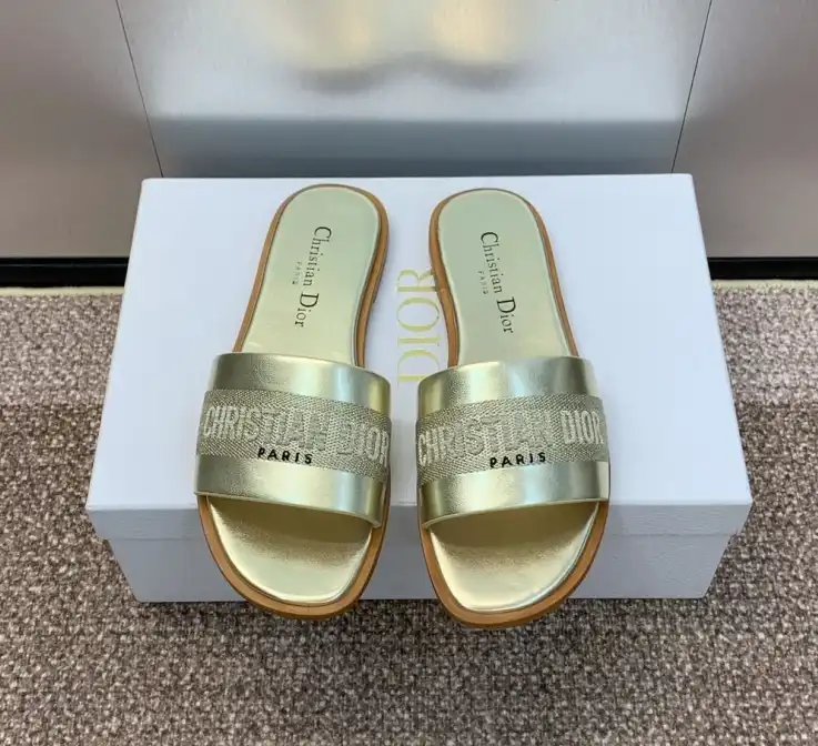 hype Christian Dior Slippers