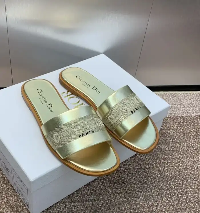 hype Christian Dior Slippers