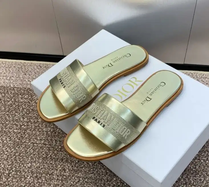 hype Christian Dior Slippers