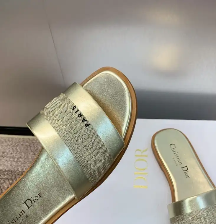 hype Christian Dior Slippers