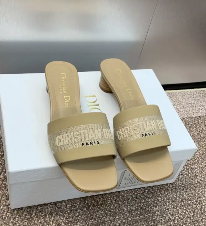 hype Christian Dior Slippers