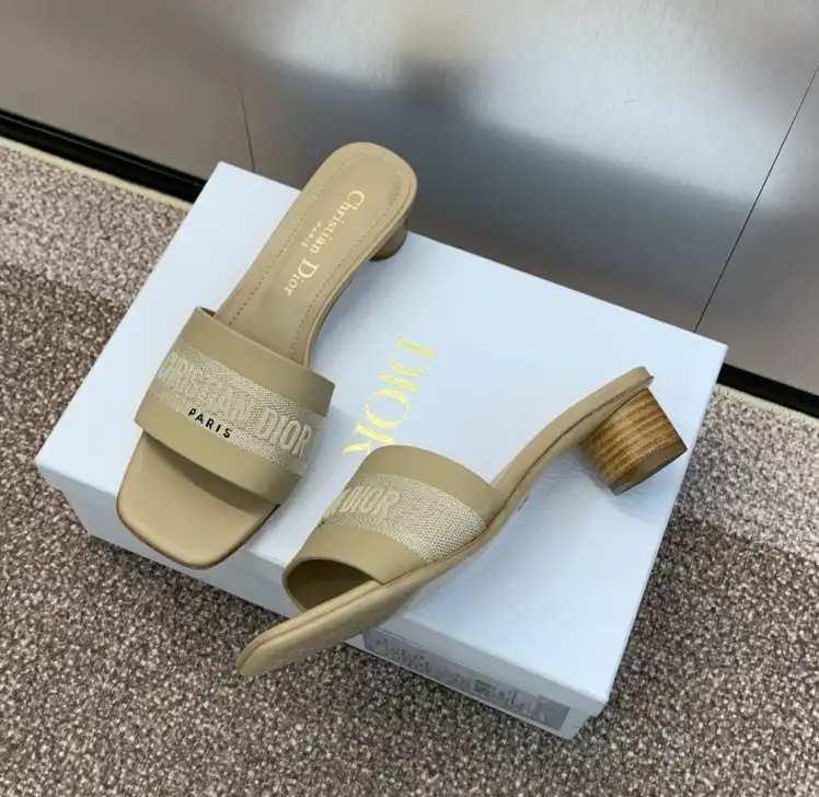 hype Christian Dior Slippers