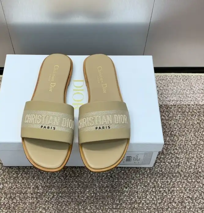 hype Christian Dior Slippers