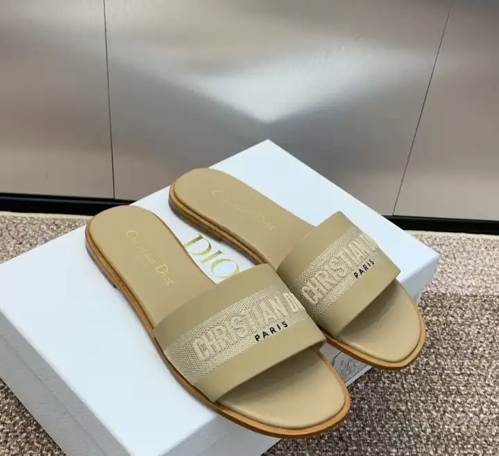 hype Christian Dior Slippers