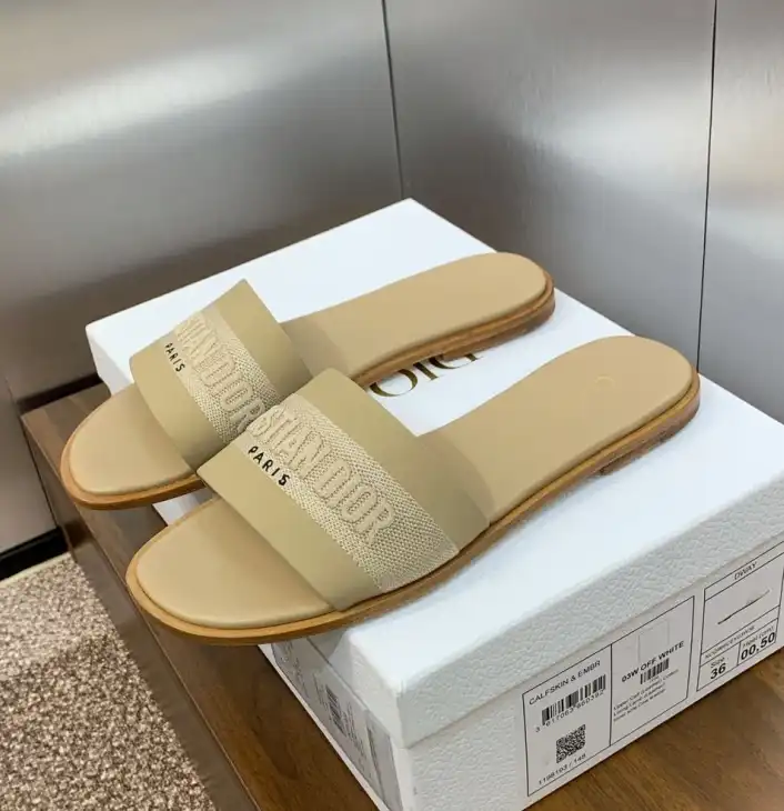 hype Christian Dior Slippers