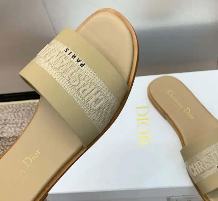 hype Christian Dior Slippers