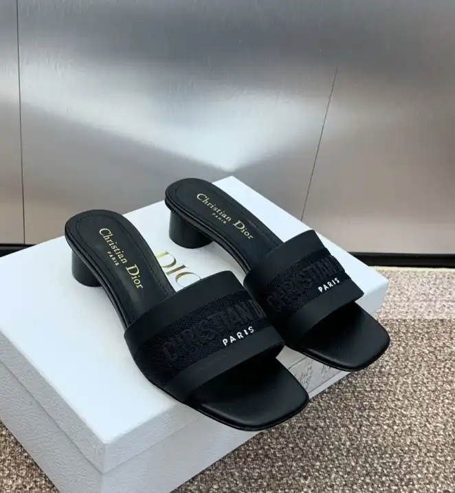 hype Christian Dior Slippers