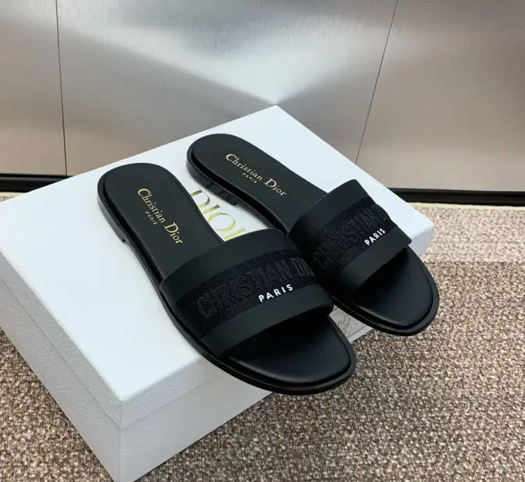 hype Christian Dior Slippers