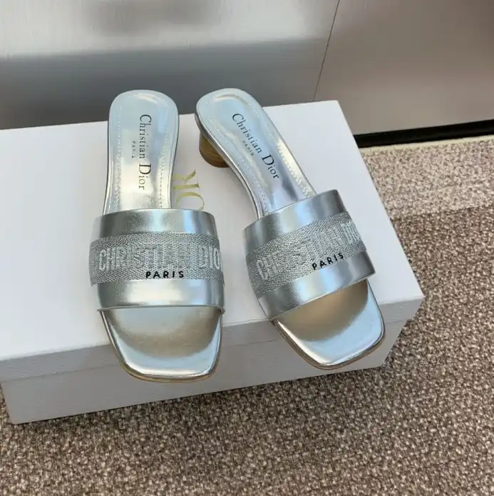 hype Christian Dior Slippers