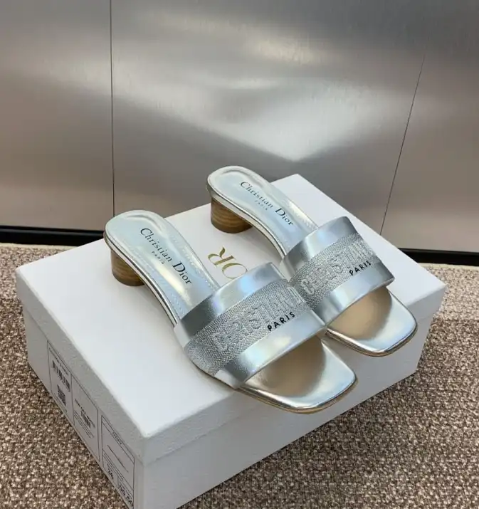 hype Christian Dior Slippers