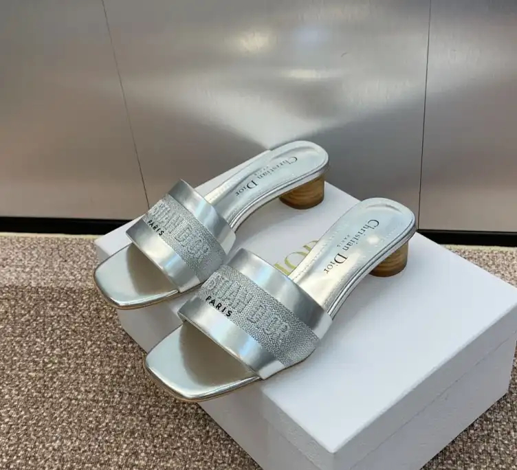 hype Christian Dior Slippers