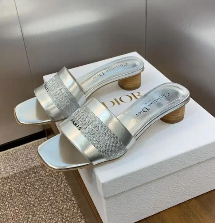 hype Christian Dior Slippers